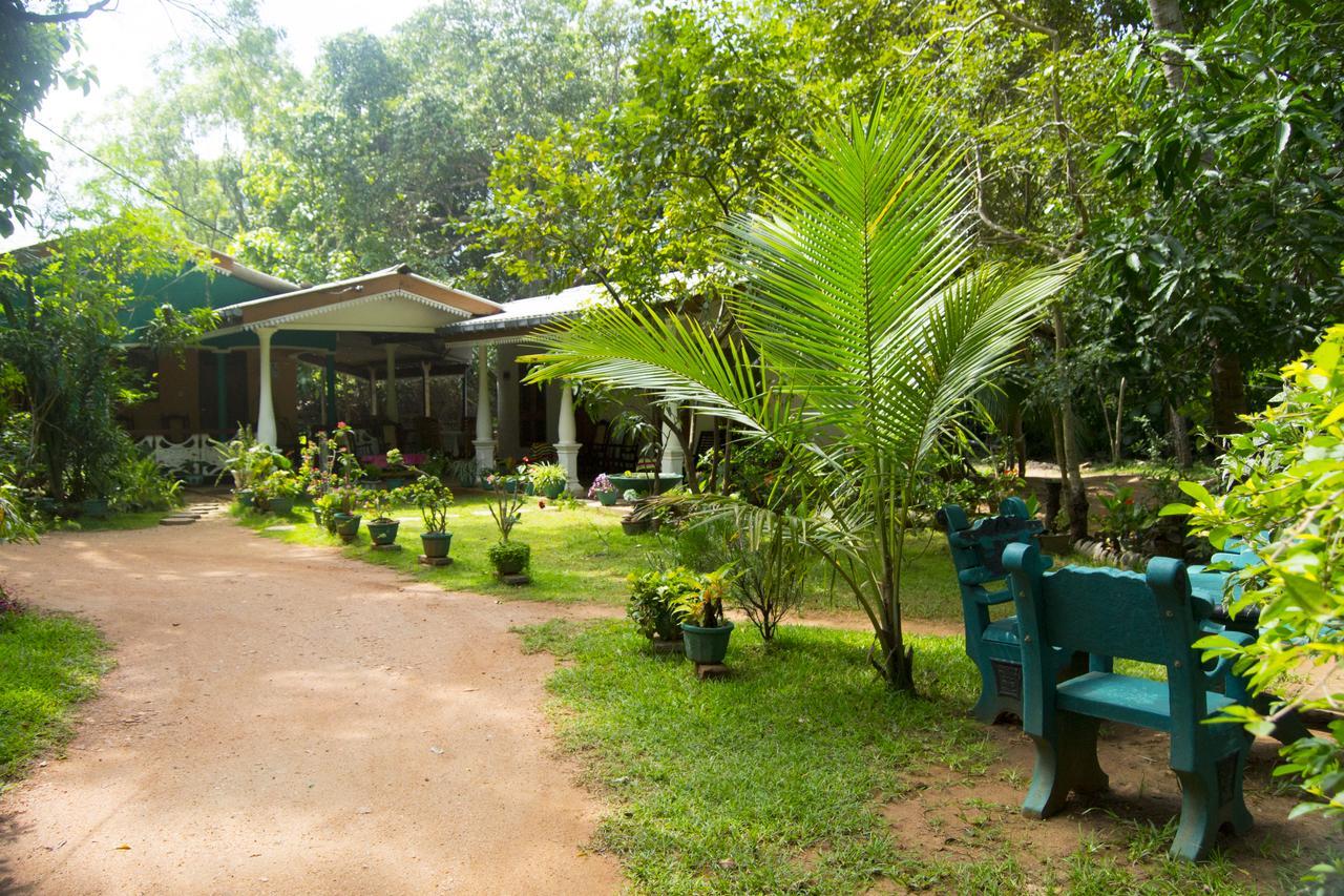 Sigiri Lodge Σιγκιρίγια Εξωτερικό φωτογραφία